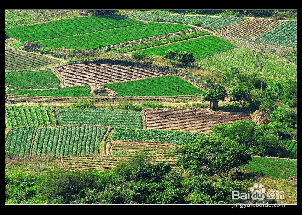 过田园式生活攻略