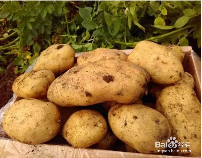 吸烟机油污怎样清理