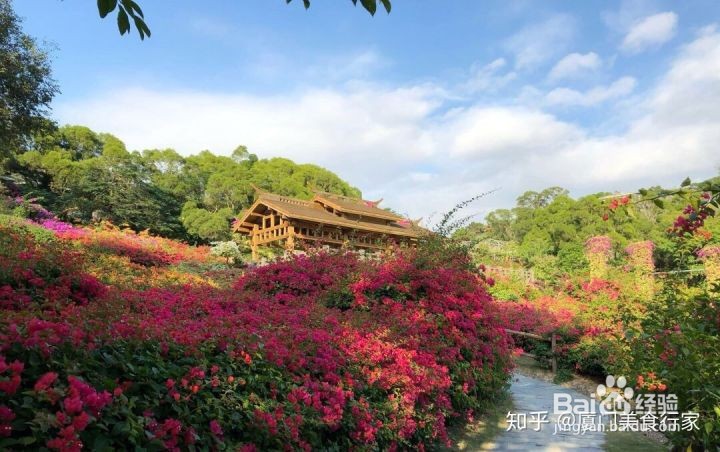 五一厦门旅游攻略