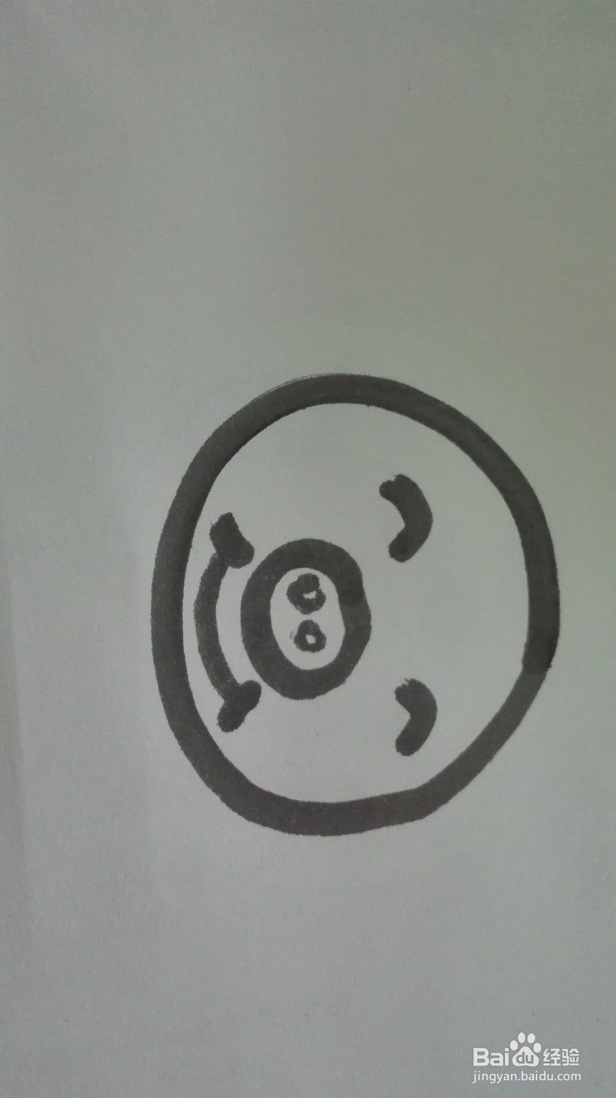 如何画出可爱的小猪