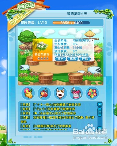 QQ炫舞G币花园花朵一览