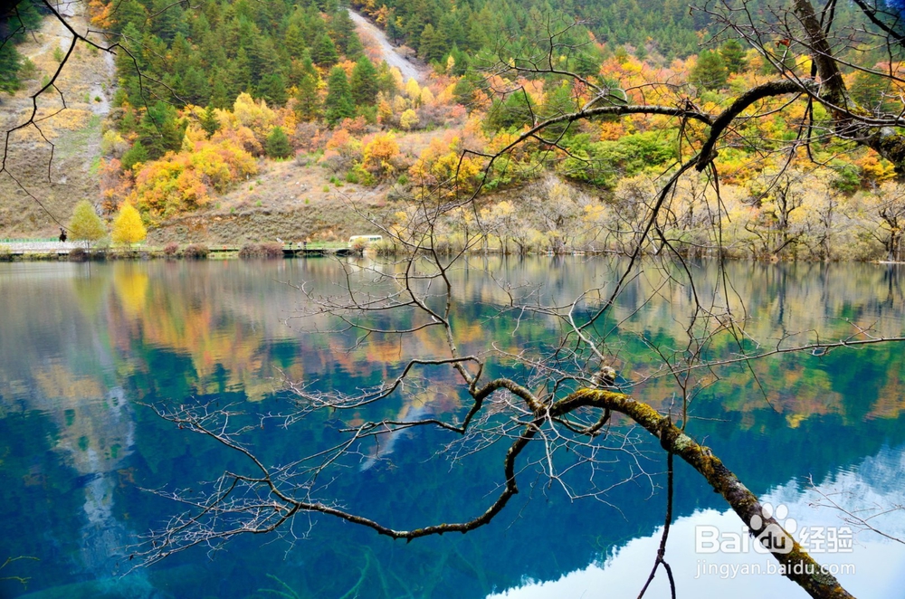 四川九寨沟、黄龙3天2夜旅游攻略