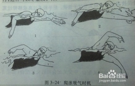 快速掌握游泳技巧：[2]学自由泳的诀窍