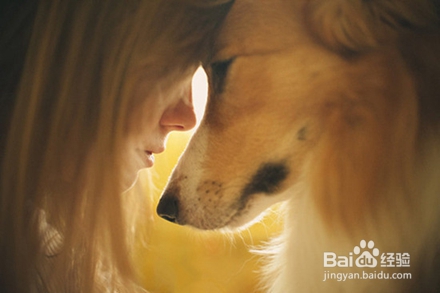 汪星人有哪些你不知道的技能？