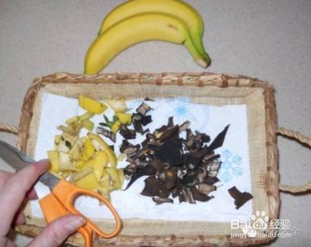 花盆边戳个洞，埋点它，花猛蹿狂长，叶子长成绿瀑布!