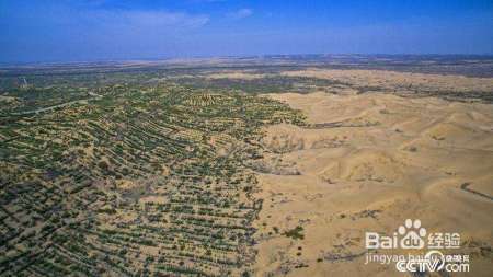 库布其、毛乌素沙漠都消灭了，塔克拉玛干沙漠也能消灭吗？
