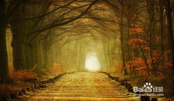 如何防止晕车，晕车小妙招