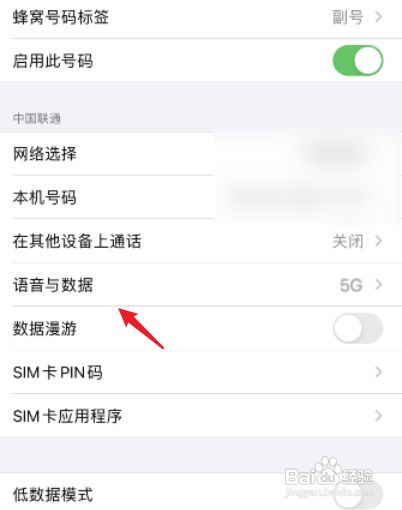 苹果怎么关闭5g网络