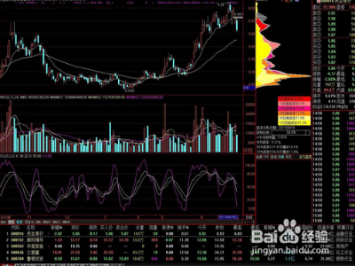 股市高手进阶技巧 你要的赚大钱的招数在这里