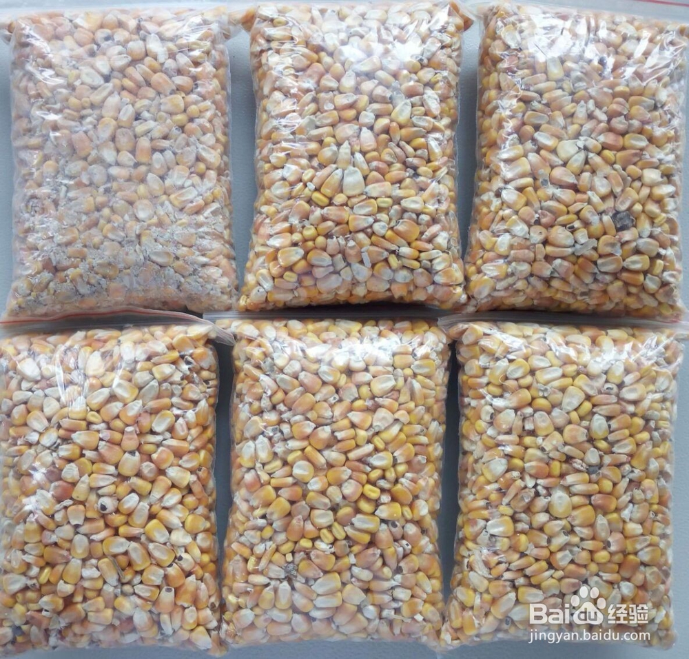 如何鉴定玉米品质