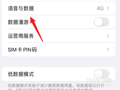 iphone13怎么把5g改成4g