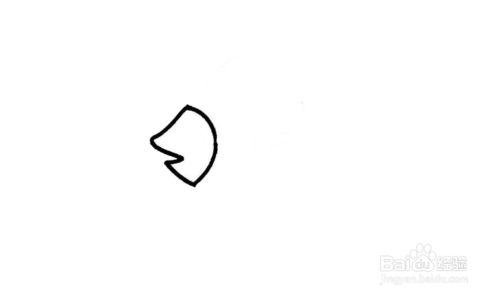 如何画出一条热带鱼