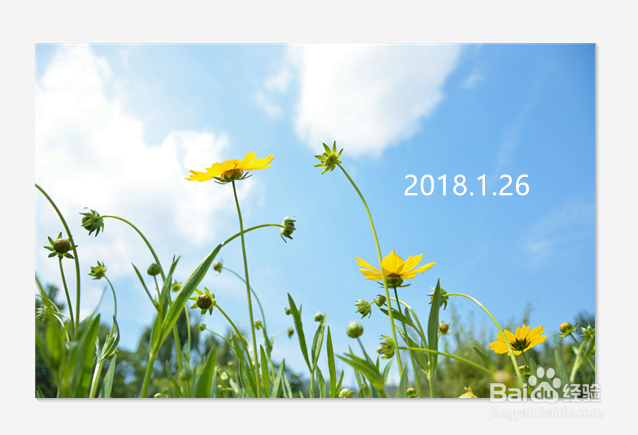 如何在图片中加入文字？