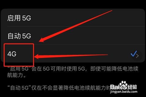 苹果12怎么设置4g网络?