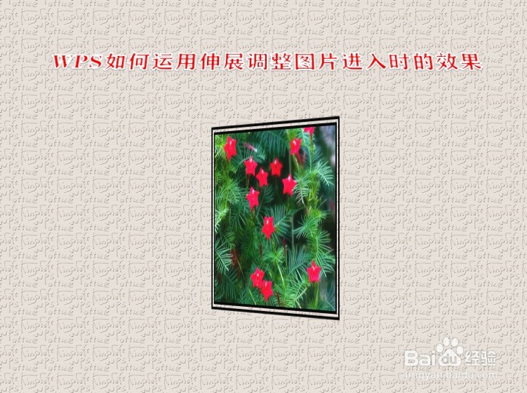 WPS如何运用伸展调整图片进入时的效果