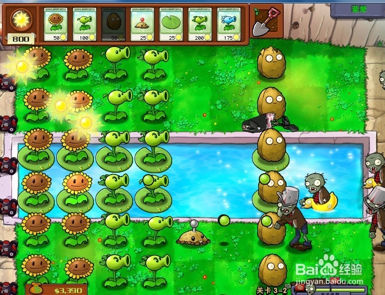 植物大战僵尸简单开局(有水池)攻略