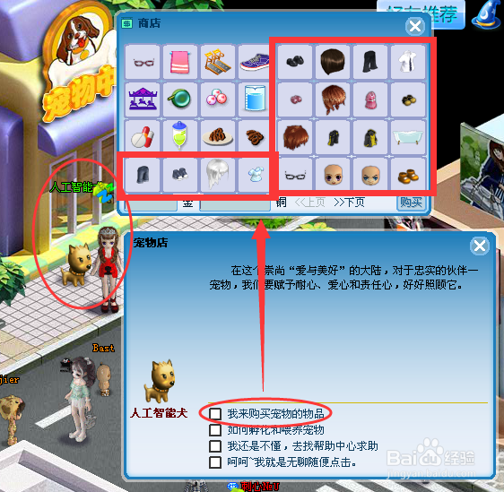 第6大陆如何装扮自己的宠物