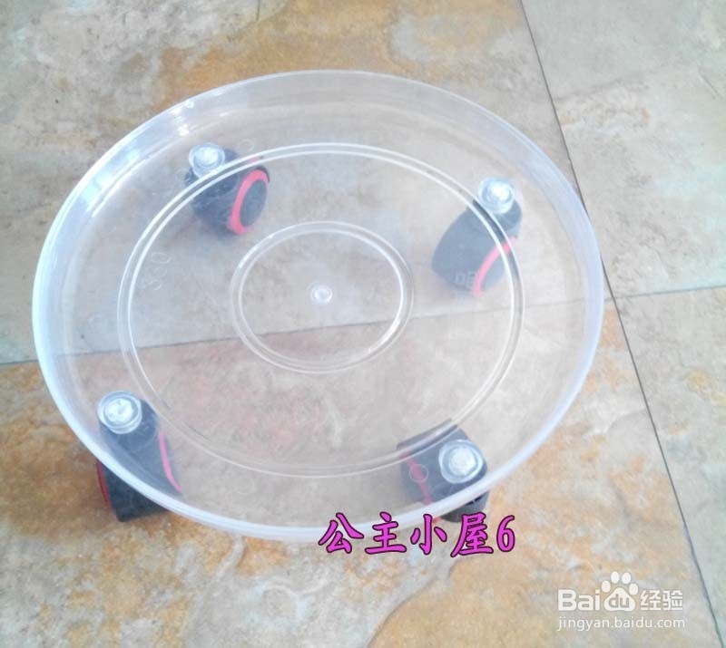 北方如何在室内养殖鸡蛋花