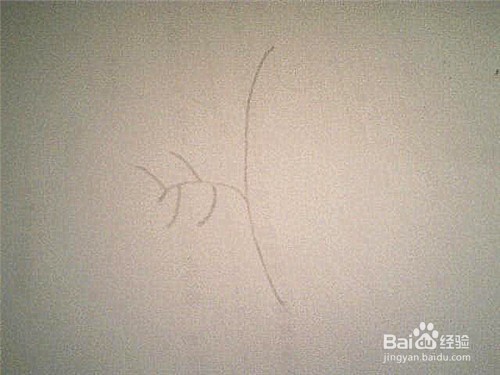 简笔画形状特殊的叶子这样画