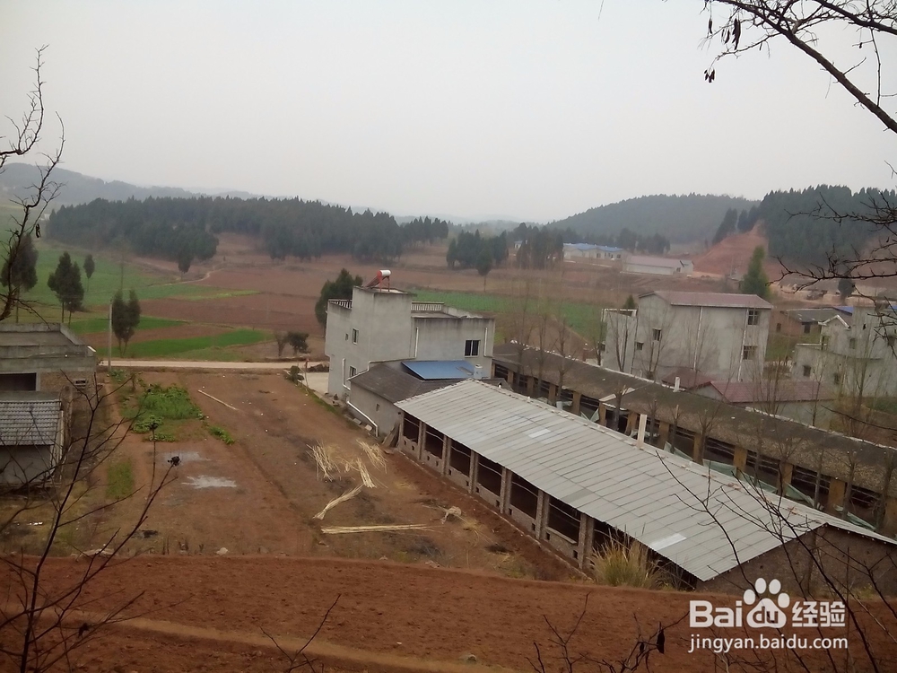 2016年春节回家过年历程