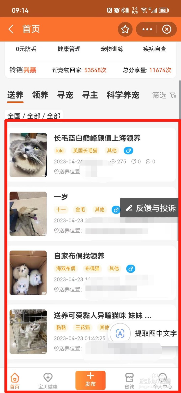 怎么在网上领养宠物