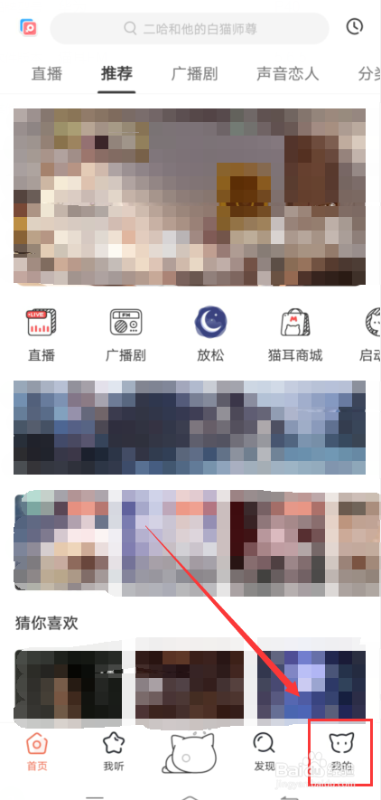 猫耳FM怎么更换启动音