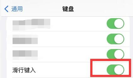 苹果13键盘打字时怎么无法滑行键入