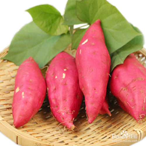 地瓜的储存方法有哪些?