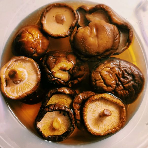 米饭面包意面伴侣