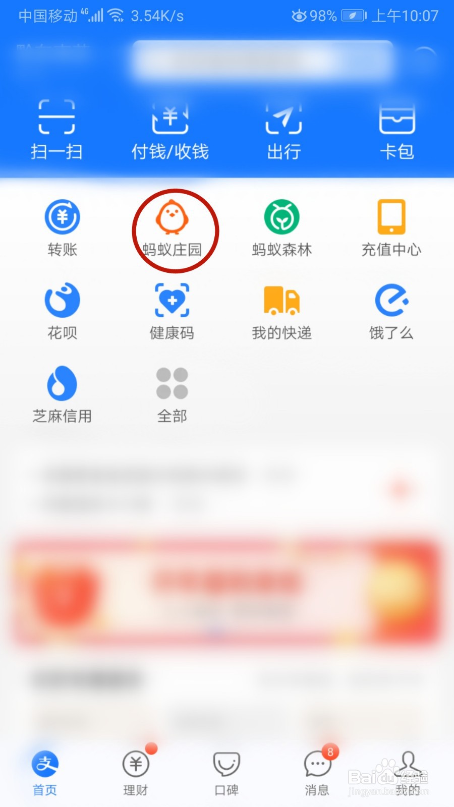 怎样给蚂蚁庄园的小鸡装扮