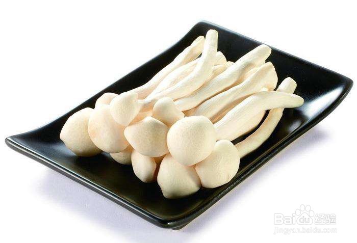 海鲜菇的挑选和保存方法