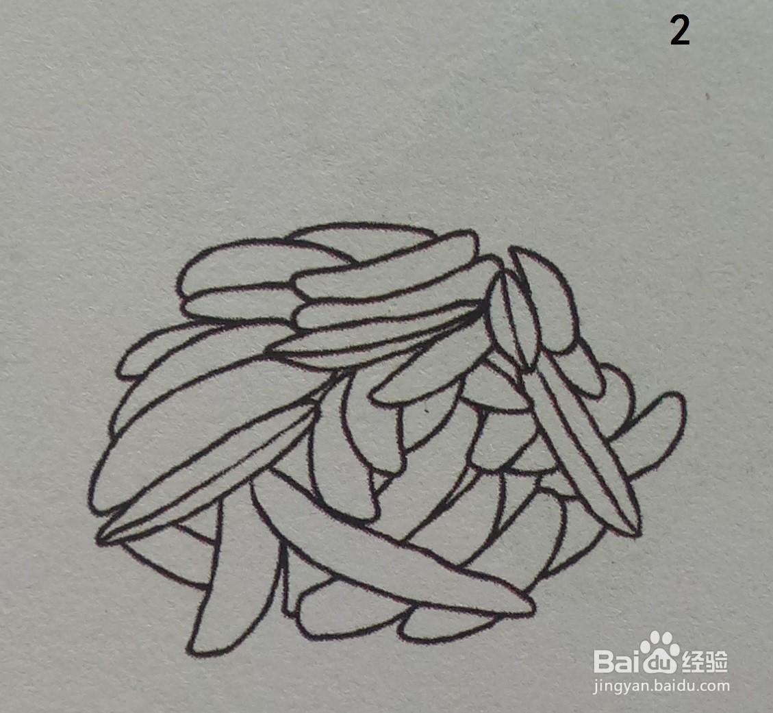 黄绿色食物篇联想篇：毛豆的简笔画法