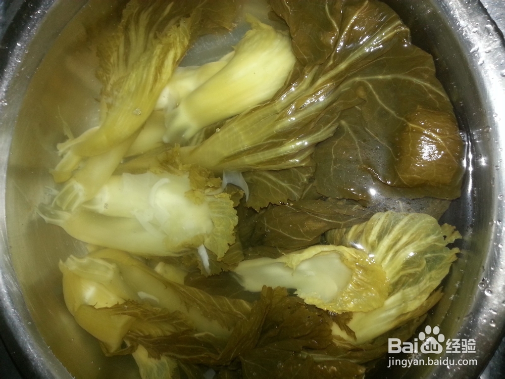 乌江鱼：江团鱼家常酸菜鱼煮法