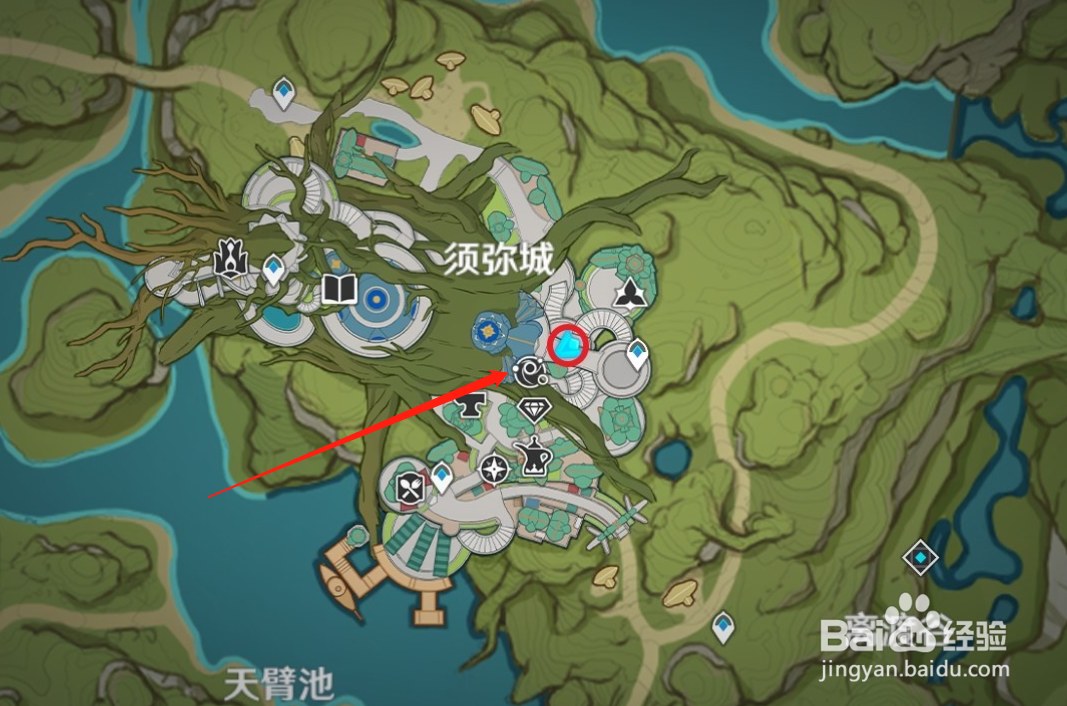 原神蔷薇再开时第五天丽莎位置