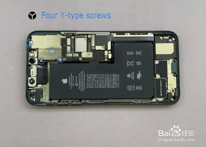 更换iPhone 11 Pro / Pro Max后置摄像头教程