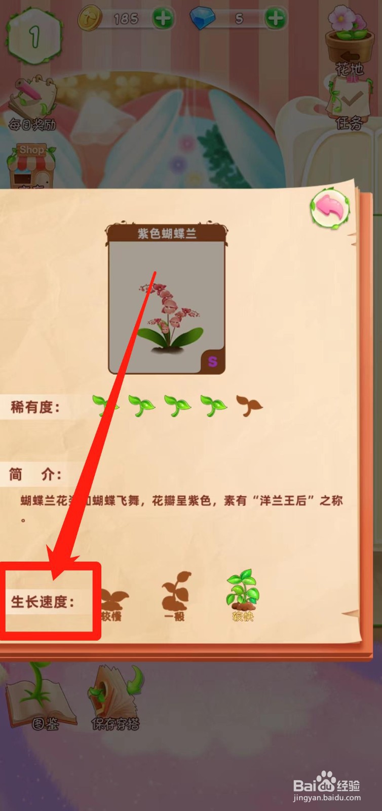 花花姑娘之魔法花园怎样查看紫色蝴蝶兰生长速度