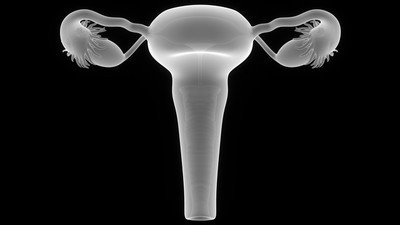 教你如何有效备孕?让你少走弯路