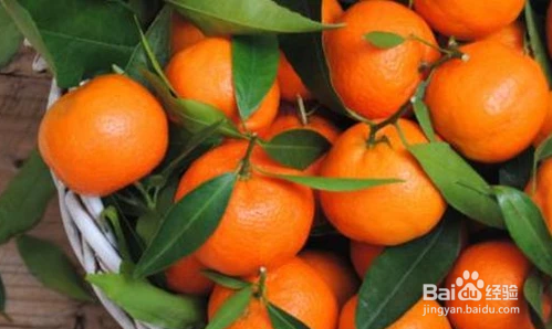 哪些食物对女生长高有帮助？