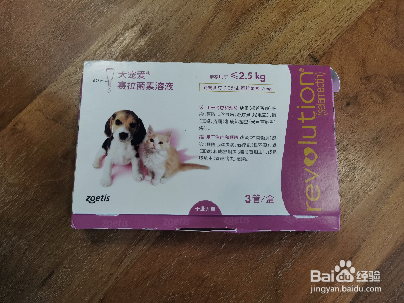 新手养狗注意事项有哪些简单两点就能弄明白
