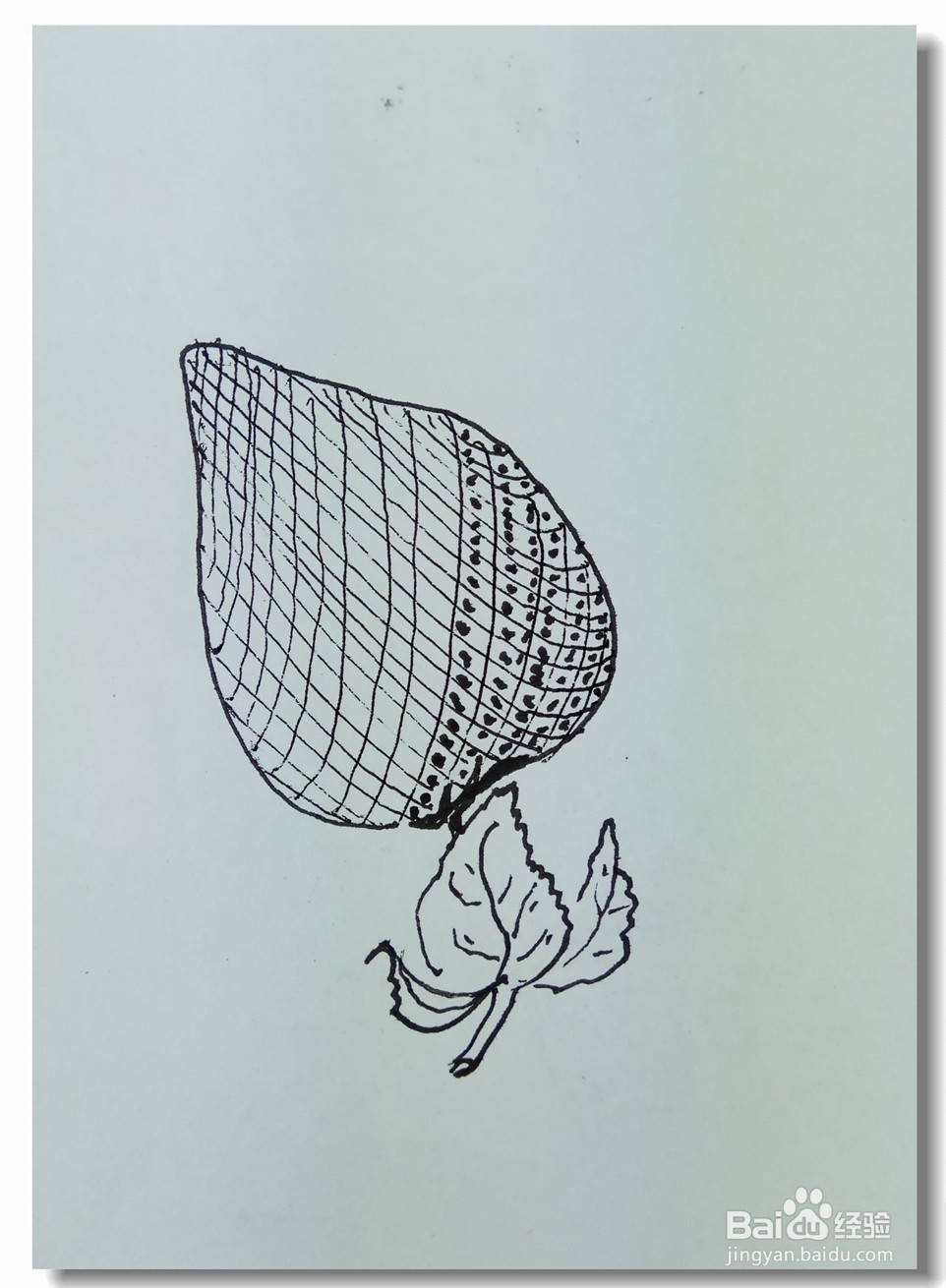 怎样画简笔画“漂亮的草莓”