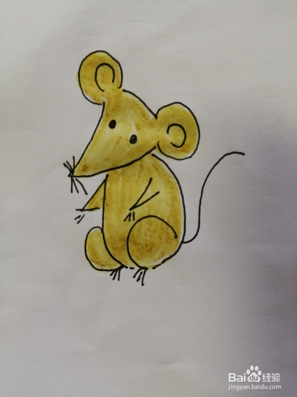 <b>可爱的小老鼠怎么画</b>
