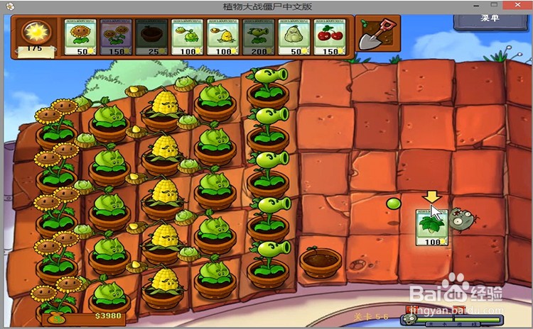 植物大战僵尸level5-6过关攻略