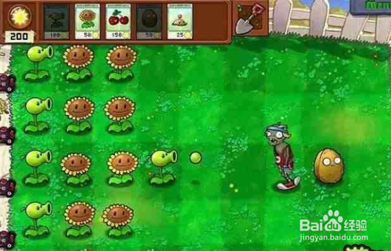 植物大战僵尸游戏攻略