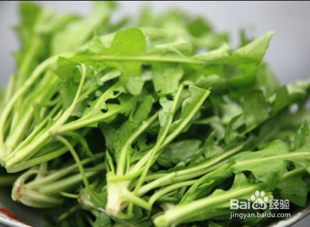 怎样包荠菜馅饺子