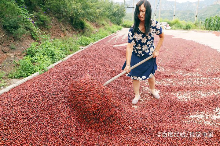 孕期、坐月子能吃酸枣吗