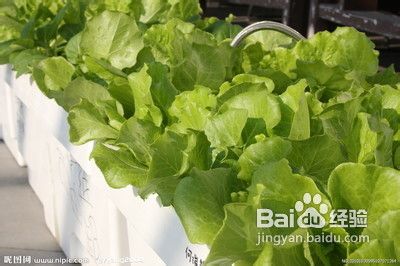 有痛风怎么办？专家来支招