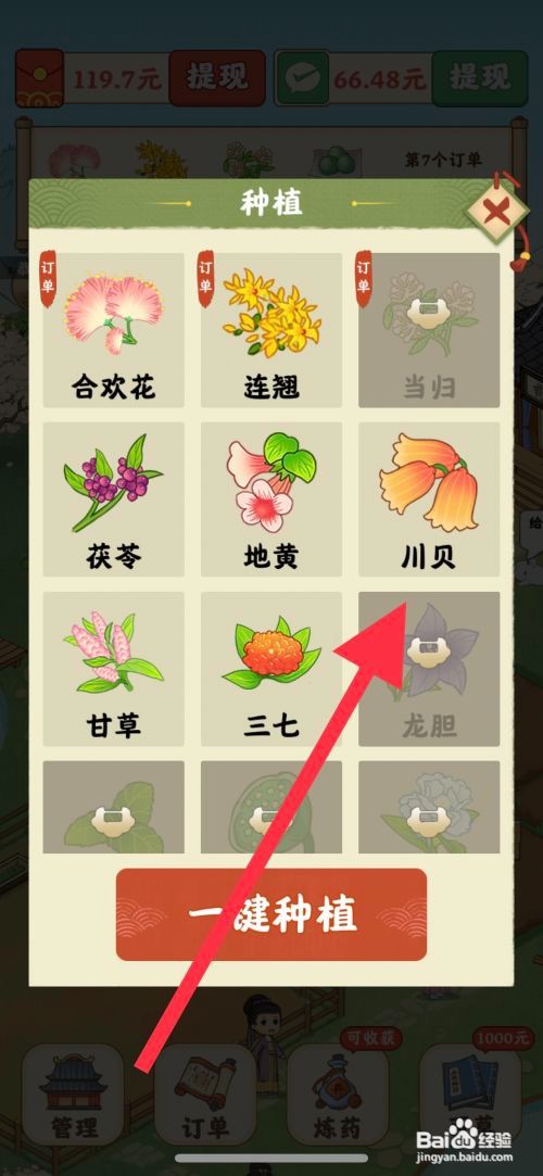 杏林世家怎么查看成功种植川贝