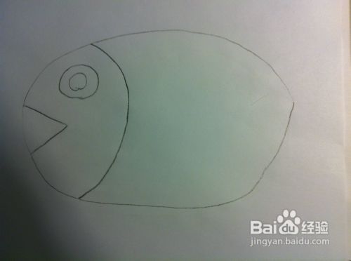 教你画动物——小鱼