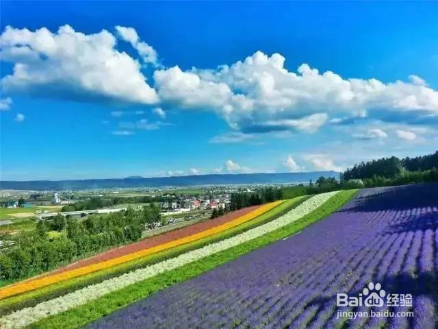 用对日本护肤品让你在北海道的夏天美如花！