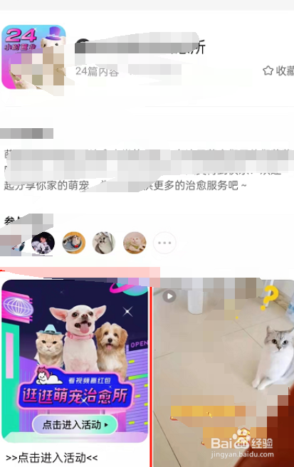 淘宝逛逛怎么进入萌宠治愈所活动